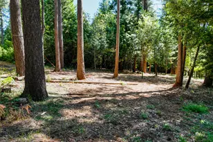 14843 Youngs Hill Rd, Camptonville, CA 95922 - Photo 61