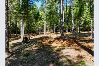 14843 Youngs Hill Road, Camptonville, CA 95922 - Photo 59
