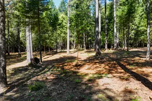 14843 Youngs Hill Rd, Camptonville, CA 95922 - Photo 59