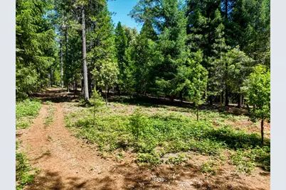 14843 Youngs Hill Road, Camptonville, CA 95922 - Photo 83