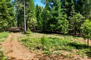 14843 Youngs Hill Rd, Camptonville, CA 95922 - Photo 83