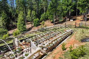 14843 Youngs Hill Rd, Camptonville, CA 95922 - Photo 63