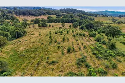 12421 Silver Springs, Grass Valley, CA 95949 - Photo 15
