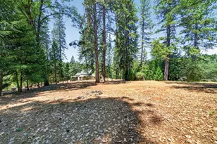 10121 Newtown Rd, Nevada City, CA 95959 - Photo 33