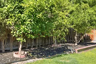 936 Oakbrooke Ct, Modesto, CA 95351 - Photo 45