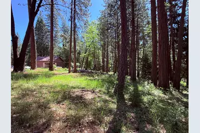 14700 N Bloomfield Road, Nevada City, CA 95959 - Photo 9