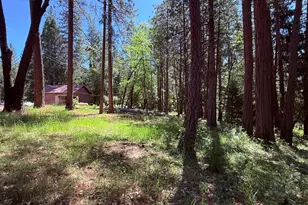 14700 N Bloomfield Rd, Nevada City, CA 95959 - Photo 9