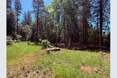 14700 N Bloomfield Road, Nevada City, CA 95959 - Photo 7