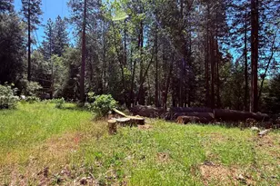 14700 N Bloomfield Rd, Nevada City, CA 95959 - Photo 7