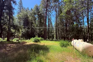 14700 N Bloomfield Rd, Nevada City, CA 95959 - Photo 5