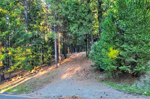 5300 Pine Ridge Dr, Grizzly Flats, CA 95636 - Photo 31
