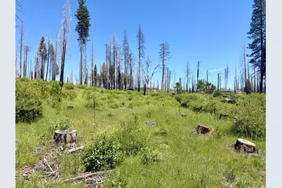 5110 Evergreen Drive, Grizzly Flats, CA 95636 - Photo 5