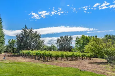 24203 County Road 22, Esparto, CA 95627 - Photo 17