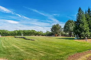 24203 Co Rd 22, Esparto, CA 95627 - Photo 49