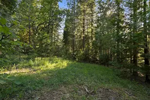 3353 Forbestown Rd, Oroville, CA 95966 - Photo 29