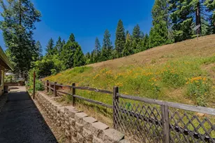 26845 Spring Ct, Pioneer, CA 95666 - Photo 63