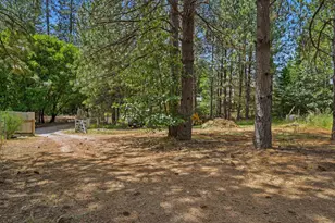 10200 Stotler Ave, North San Juan, CA 95960 - Photo 53