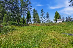 10200 Stotler Ave, North San Juan, CA 95960 - Photo 25