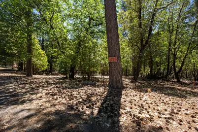 3196 Pine Cone Court, Placerville, CA 95667 - Photo 7