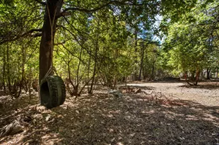 3196 Pine Cone Ct, Placerville, CA 95667 - Photo 1