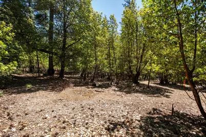 3196 Pine Cone Court, Placerville, CA 95667 - Photo 3