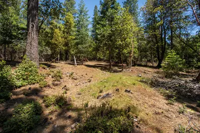 3196 Pine Cone Court, Placerville, CA 95667 - Photo 9