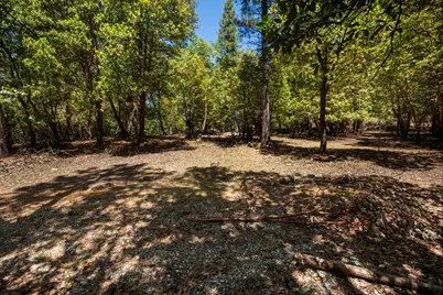 3196 Pine Cone Court, Placerville, CA 95667 - Photo 5