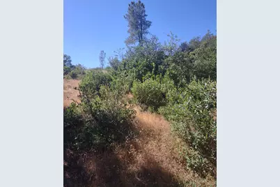 8679 Hilory Lane, Dobbins, CA 95935 - Photo 15