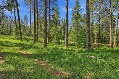 11021 Pittsburg Mine Road, Nevada City, CA 95959 - Photo 9
