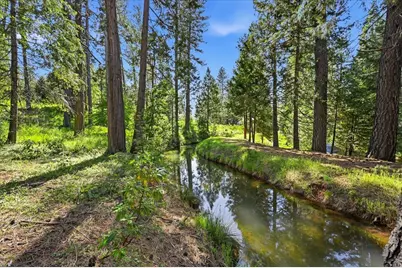 11021 Pittsburg Mine Road, Nevada City, CA 95959 - Photo 5