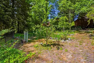 417 Chapel St, Grass Valley, CA 95945 - Photo 45