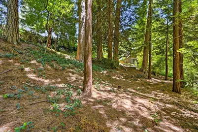 417 Chapel Street, Grass Valley, CA 95945 - Photo 39