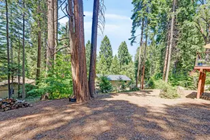 3884 Opal Trail, Pollock Pines, CA 95726 - Photo 45