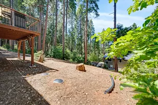 3884 Opal Trail, Pollock Pines, CA 95726 - Photo 41