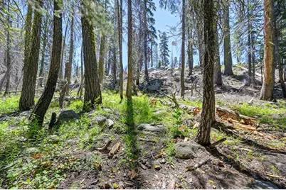 20760 US Highway 50, South Lake Tahoe, CA 96150 - Photo 67