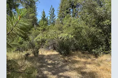 0 French Gulch Road, Murphys, CA 95247 - Photo 15