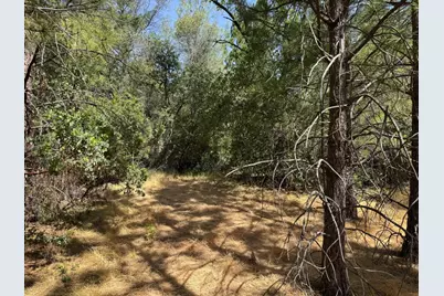 0 French Gulch Road, Murphys, CA 95247 - Photo 13