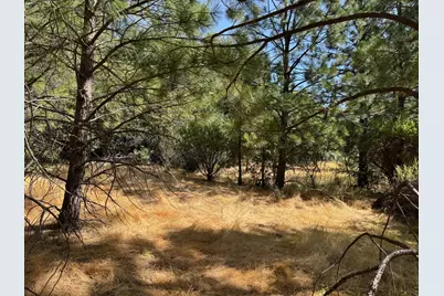0 French Gulch Road, Murphys, CA 95247 - Photo 17