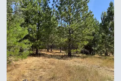 0 French Gulch Road, Murphys, CA 95247 - Photo 9