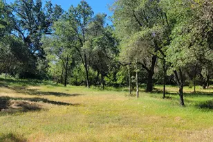 3 Angel Ln, Placerville, CA 95667 - Photo 1