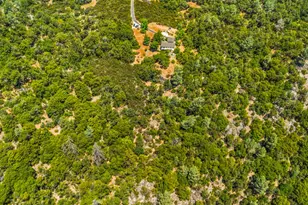 5045 Free Fox Ln, Placerville, CA 95667 - Photo 9