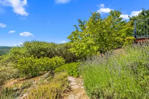 5045 Free Fox Ln, Placerville, CA 95667 - Photo 83