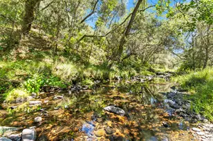 12850 Fiddletown Rd, Fiddletown, CA 96269 - Photo 83