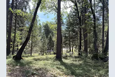 13987 Lee Lane, Nevada City, CA 95959 - Photo 21
