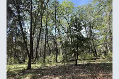 13987 Lee Lane, Nevada City, CA 95959 - Photo 15