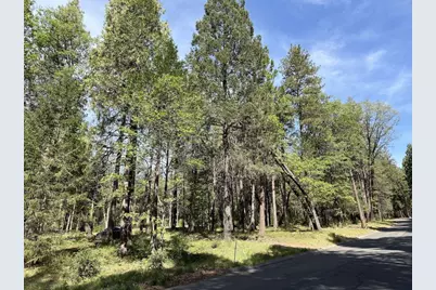 13987 Lee Lane, Nevada City, CA 95959 - Photo 13
