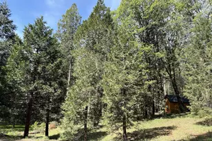 13987 Lee Ln, Nevada City, CA 95959 - Photo 1