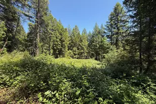 13462 Moonshine Rd, Camptonville, CA 95922 - Photo 23