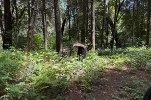 13462 Moonshine Rd, Camptonville, CA 95922 - Photo 19