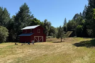 13462 Moonshine Rd, Camptonville, CA 95922 - Photo 5